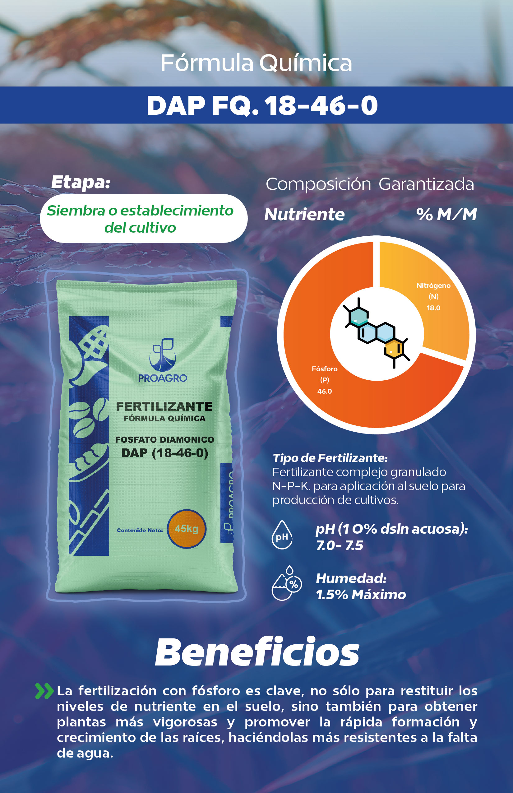 Ficha DAP FQ. 18-46-0