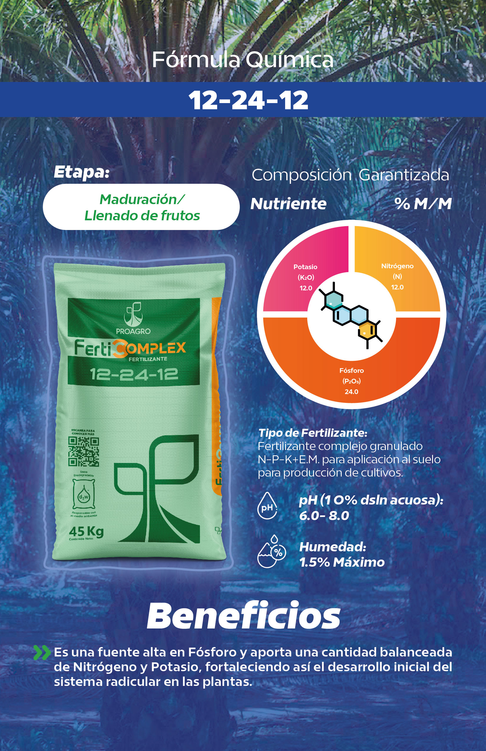 Ficha 12-24-12