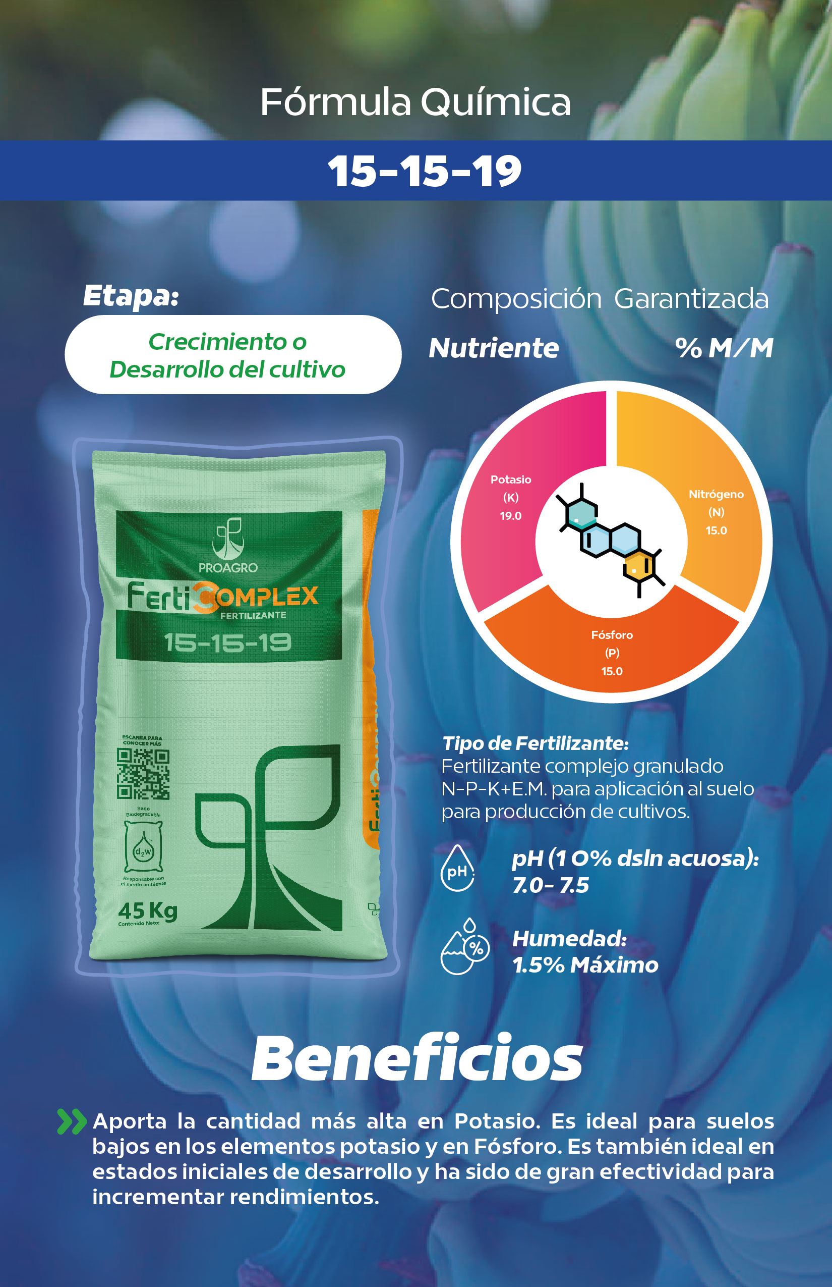 Ficha 15-15-19