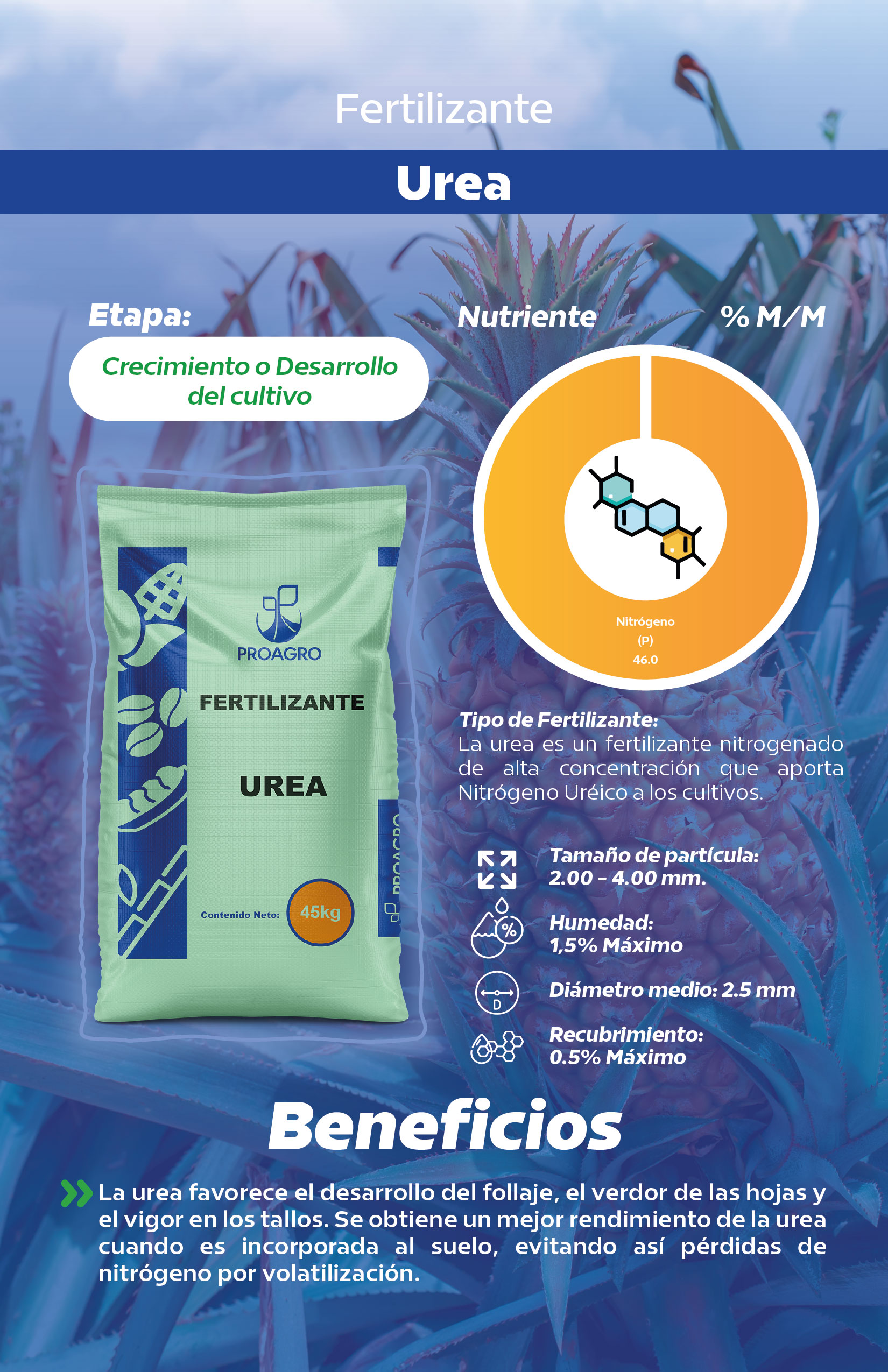 Ficha_Urea