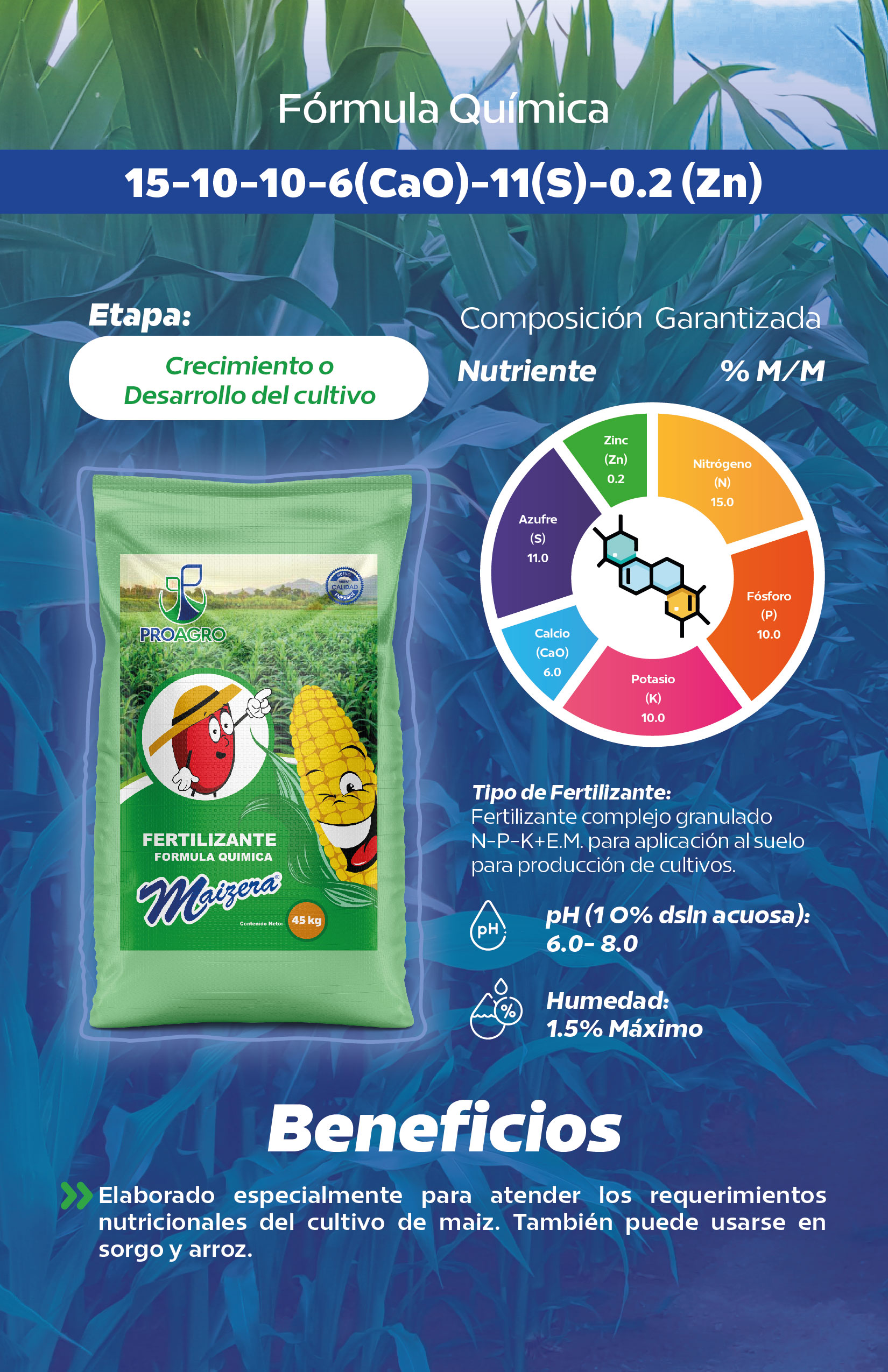 Ficha Maizera