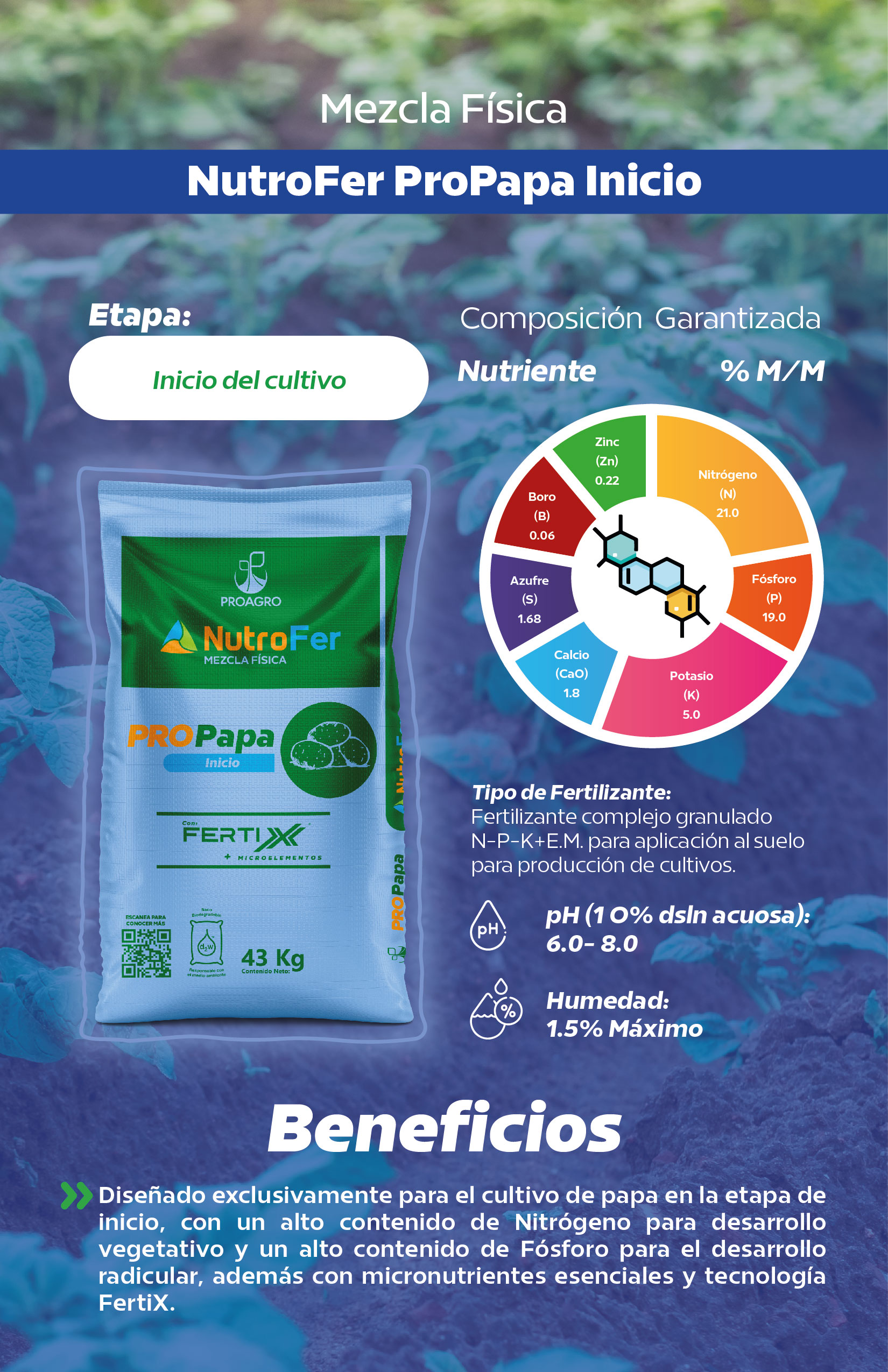 Ficha NutroFer_ProPapa Inicio