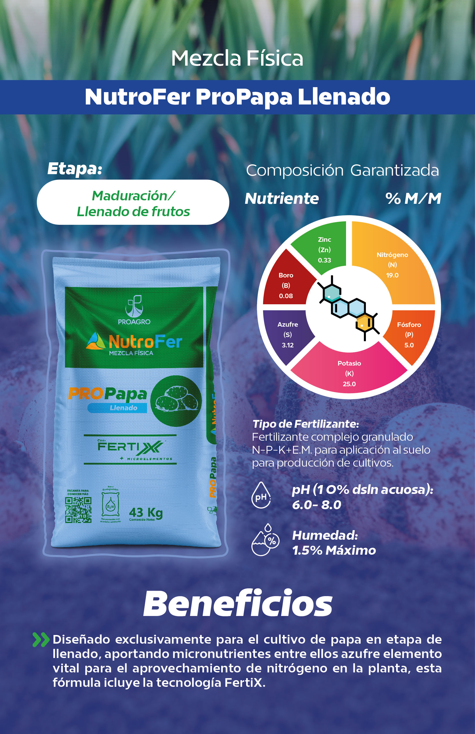 Ficha NutroFer_ProPapa Llenado